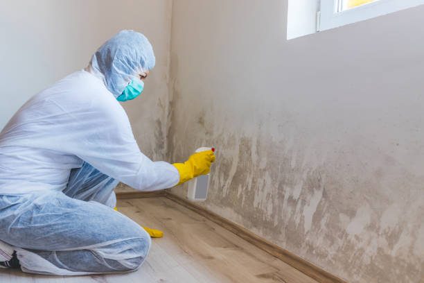 Mold inspector in Warrington performing thermal imaging